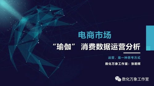 電商市場瑜伽產品消費數(shù)據(jù)與網絡游戲研發(fā)運營的聯(lián)動分析