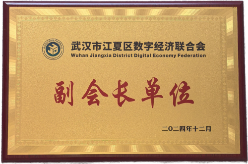 武漢龍媒榮膺江夏區(qū)數(shù)字經(jīng)濟(jì)聯(lián)合會(huì)副會(huì)長(zhǎng)單位，以網(wǎng)絡(luò)產(chǎn)品研發(fā)與運(yùn)營(yíng)賦能區(qū)域數(shù)字經(jīng)濟(jì)發(fā)展